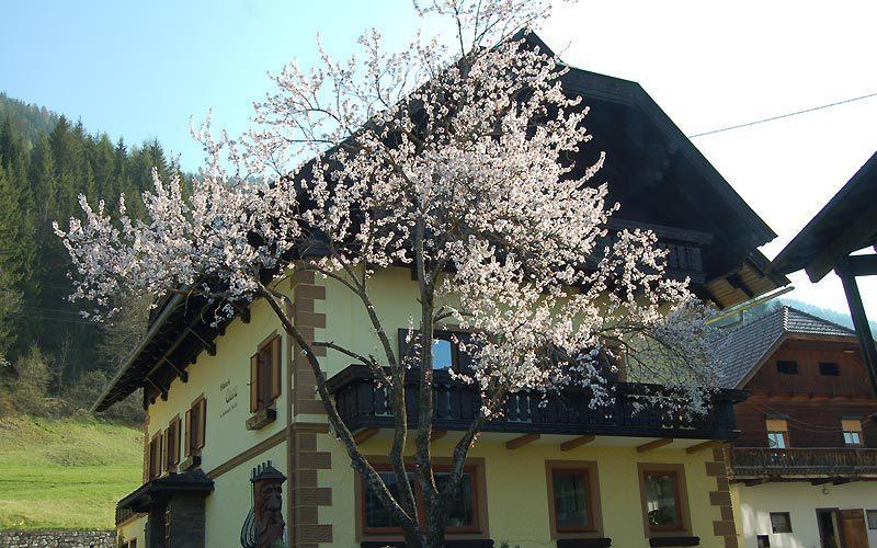 Haus Garz Apartment Weissensee Exterior foto