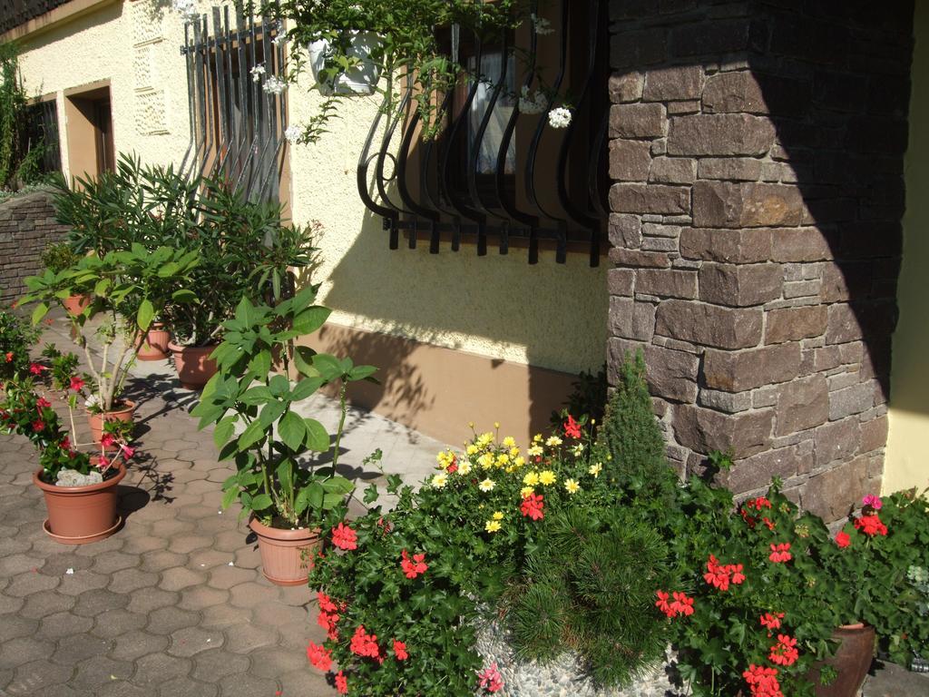 Haus Garz Apartment Weissensee Exterior foto